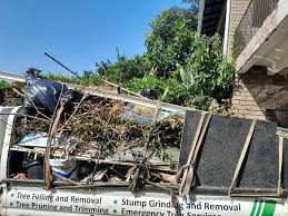 Trusted Mountain View, NC Junk Removal Services Experts